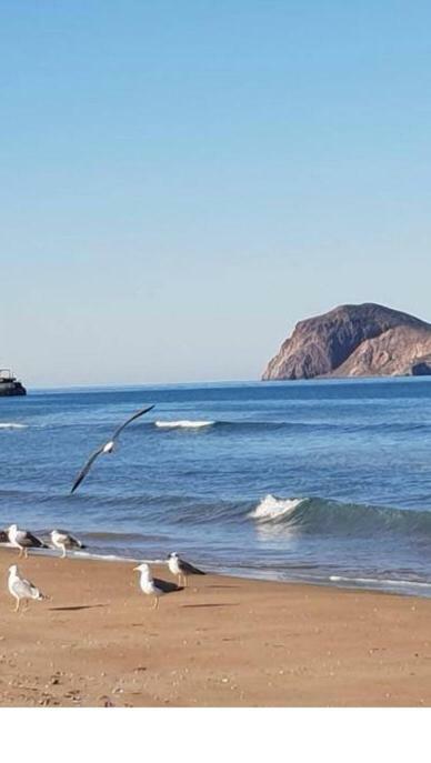 Appartamento Dar Hachemia Ras El Ma  Esterno foto